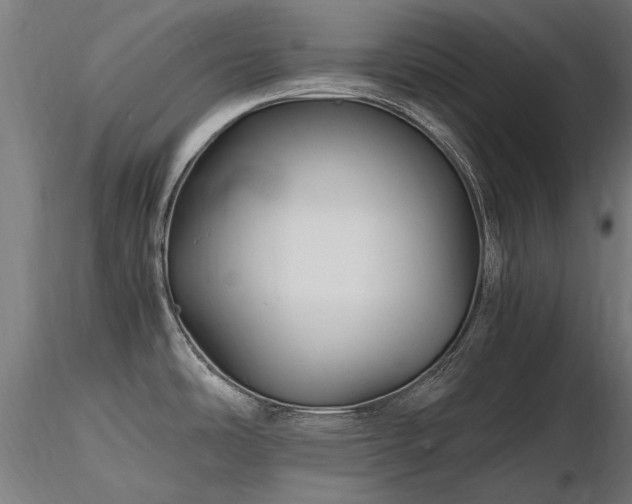 X0000116801486200912181306