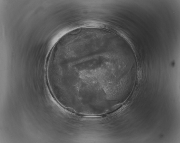 X0000116801487200912181306