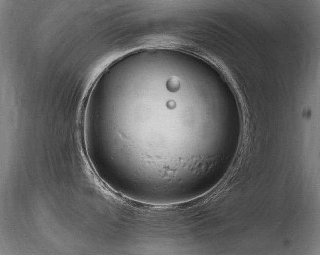 X0000116801488200912181306