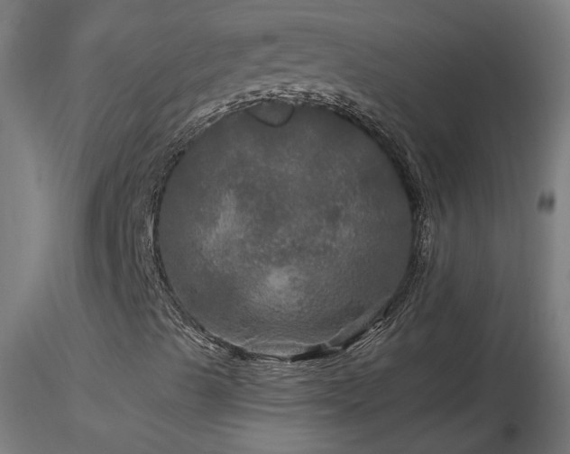 X0000116801489200912181305