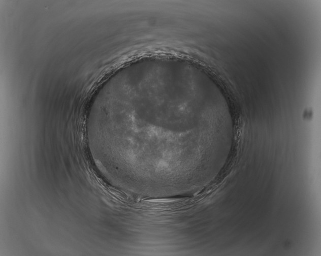 X0000116801490200912181305