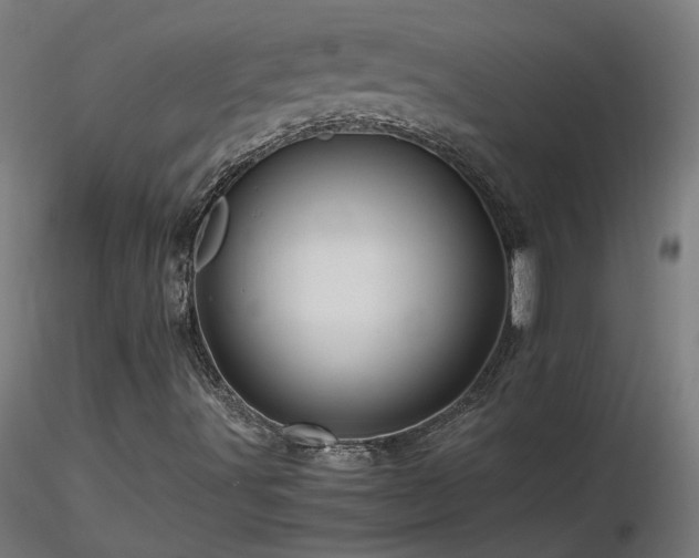X0000116801491200912181305