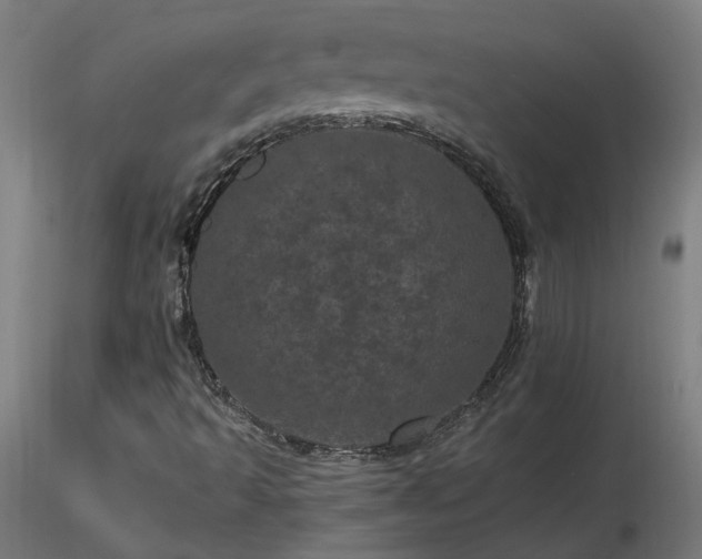 X0000116801493200912181305