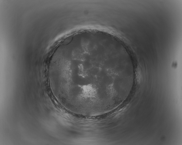 X0000116801494200912181305