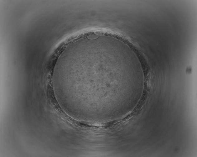 X0000116801495200912181305