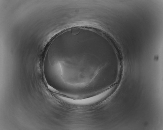 X0000116801497200912181306