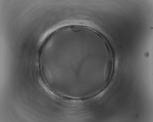 X0000116801498200912181306