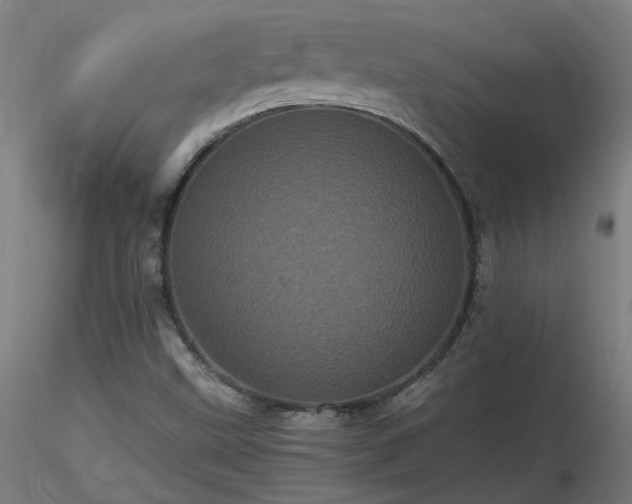 X0000116801499200912181306