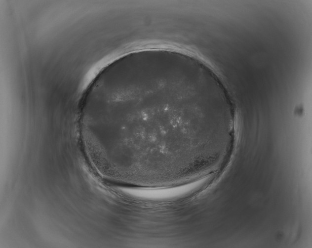 X0000116801501200912181306