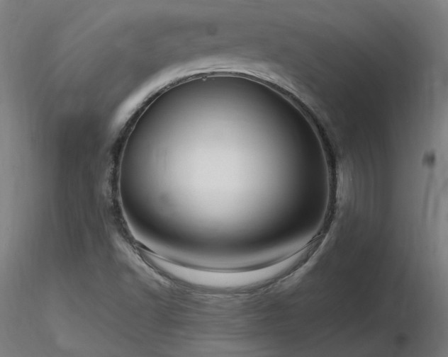 X0000116801502200912181306