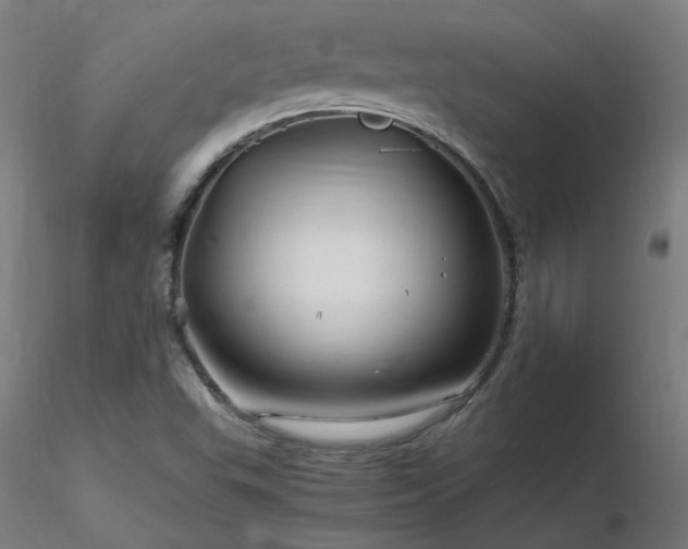 X0000116801503200912181306