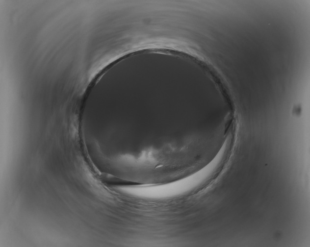 X0000116801505200912181306