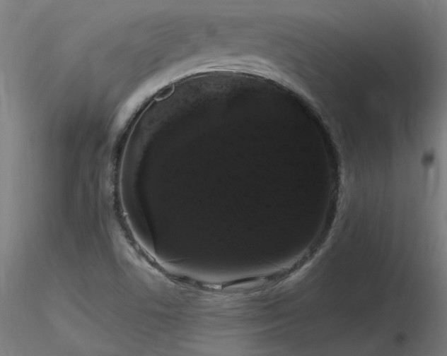 X0000116801506200912181306