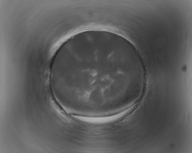 X0000116801507200912181306