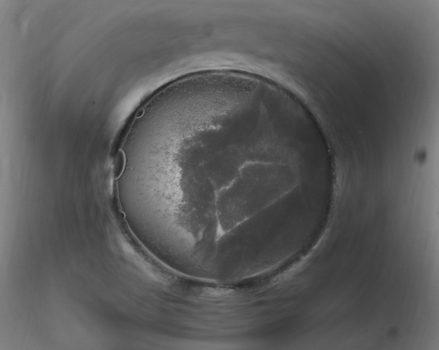 X0000116801509200912181306