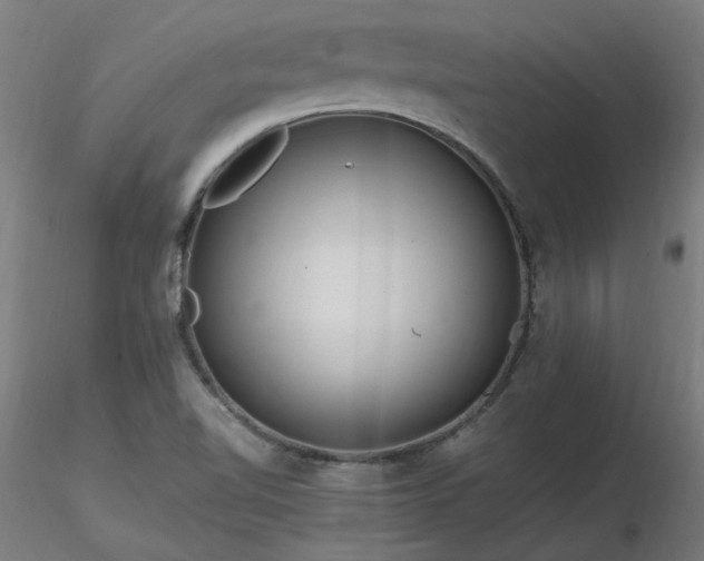 X0000116801510200912181306