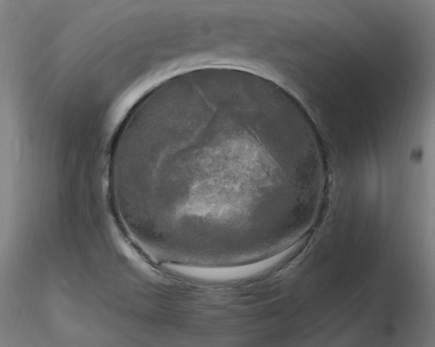 X0000116801511200912181306