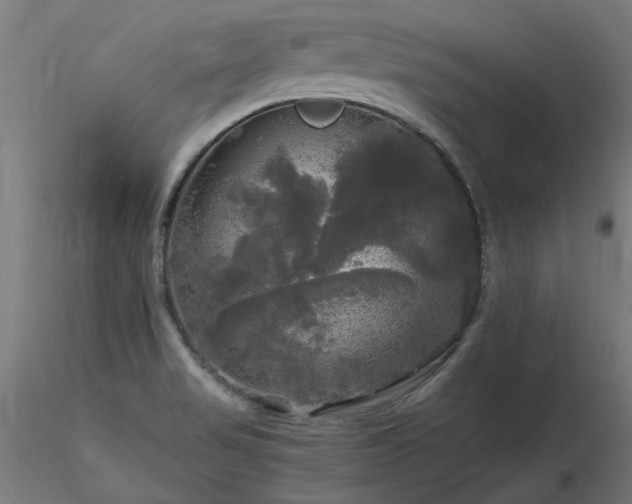 X0000116801517200912181306