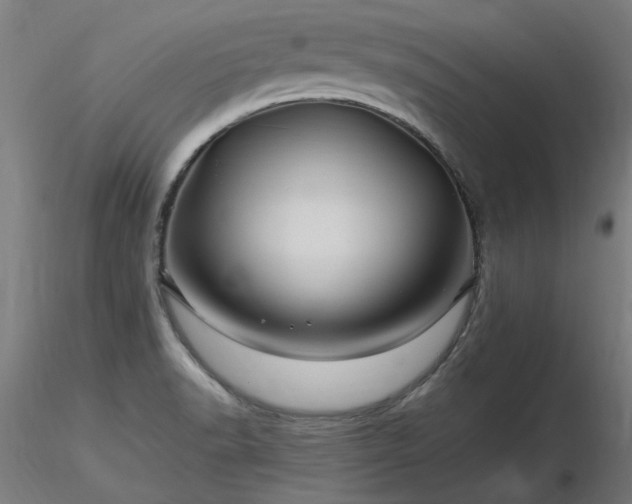 X0000116801518200912181306