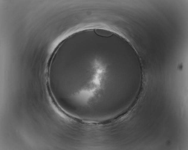 X0000116801519200912181306
