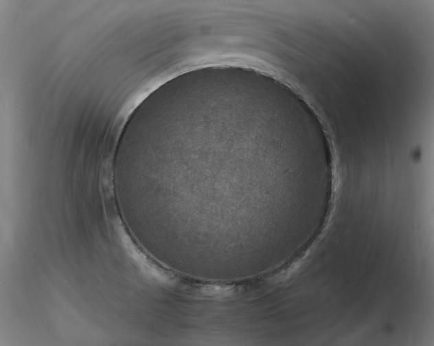 X0000116801521200912181306