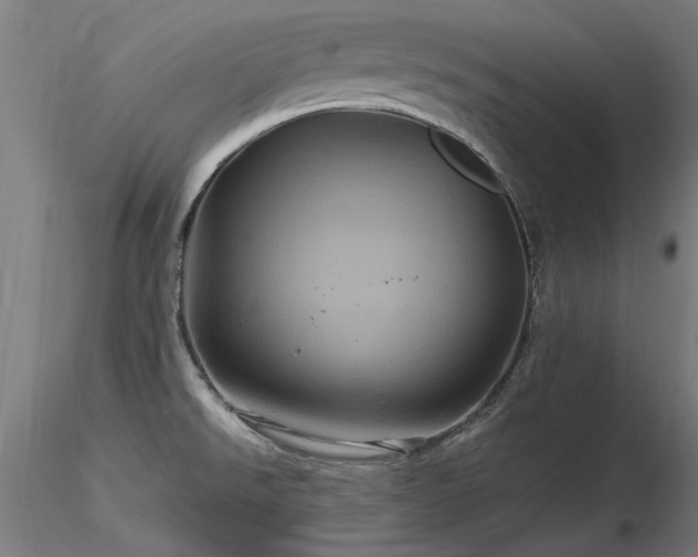 X0000116801526200912181306