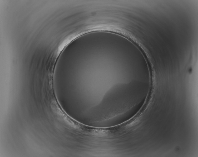 X0000116801529200912181306