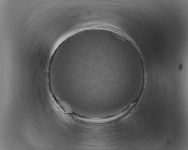 X0000116801530200912181306