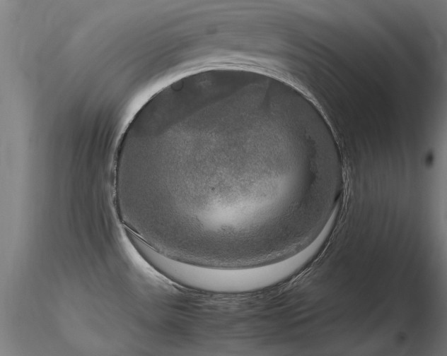 X0000116801531200912181306