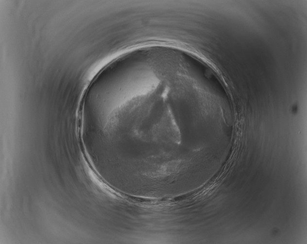X0000116801535200912181306