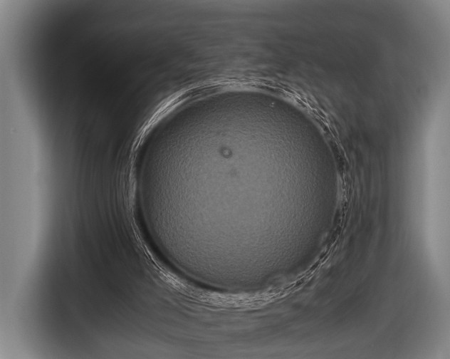 X0000116800005200912241210