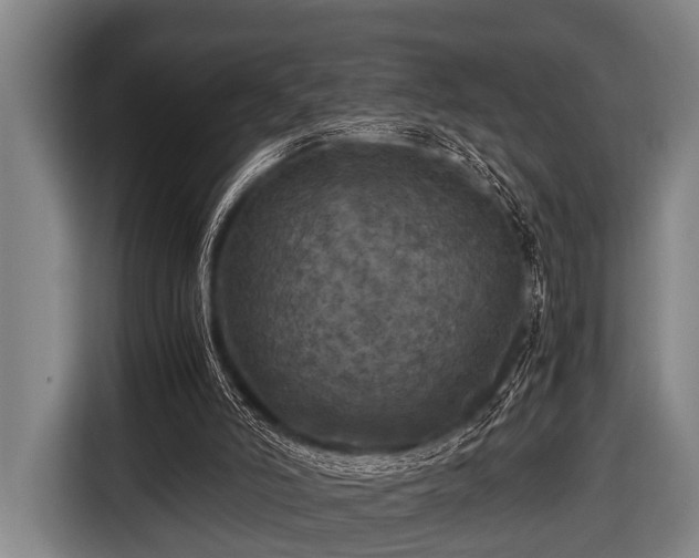 X0000116800006200912241210