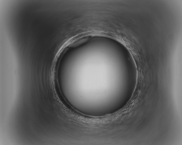 X0000116800007200912241210