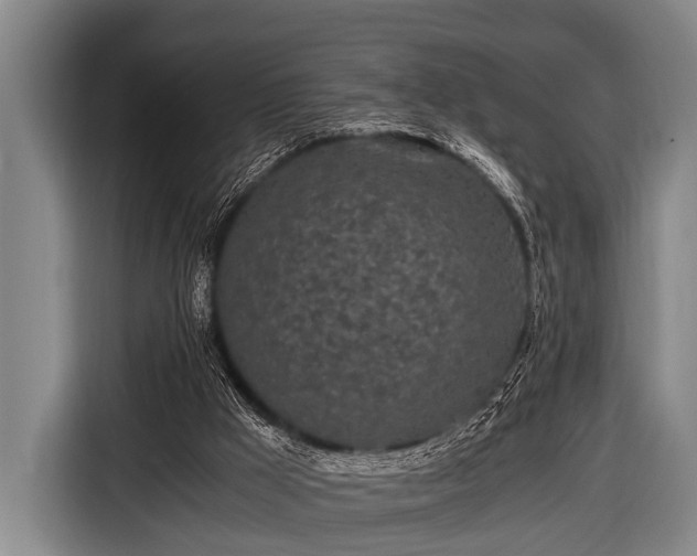 X0000116800009200912241210