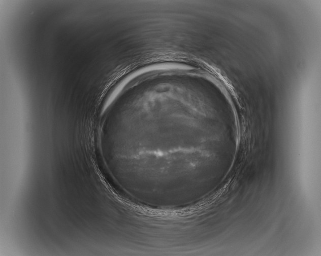 X0000116800010200912241210