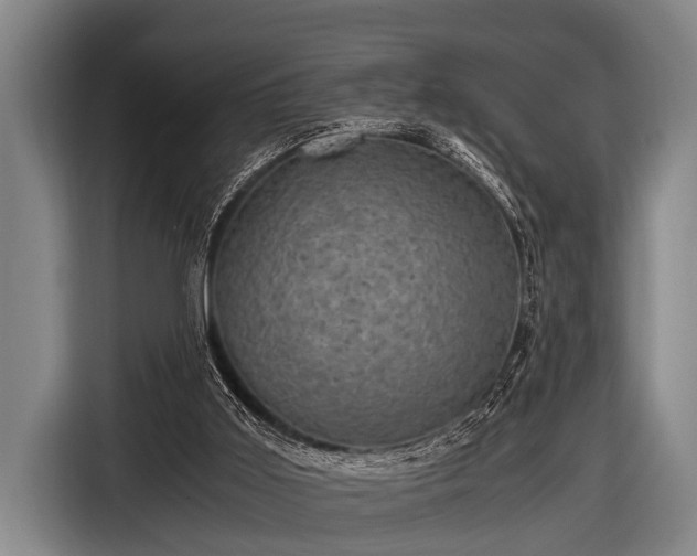 X0000116800011200912241210