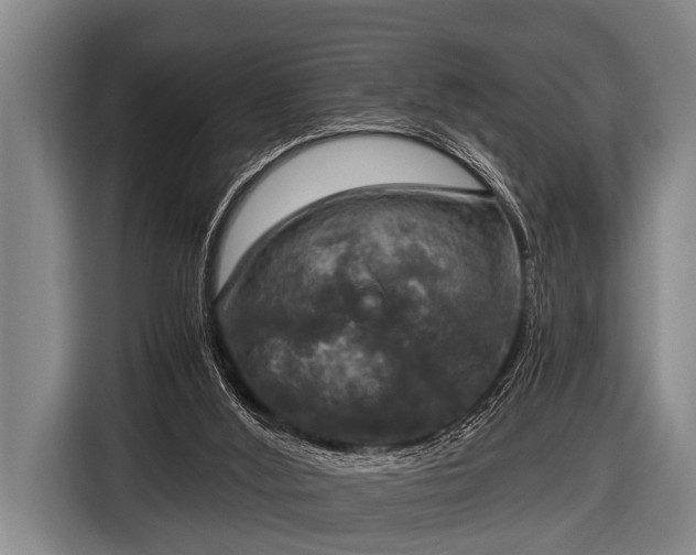 X0000116800012200912241210