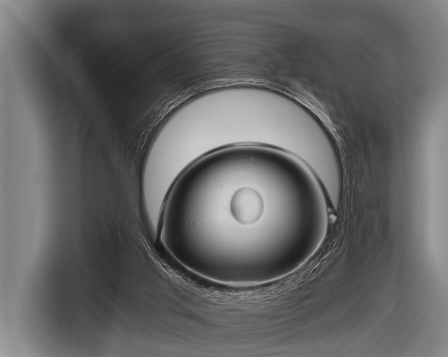 X0000116800013200912241210