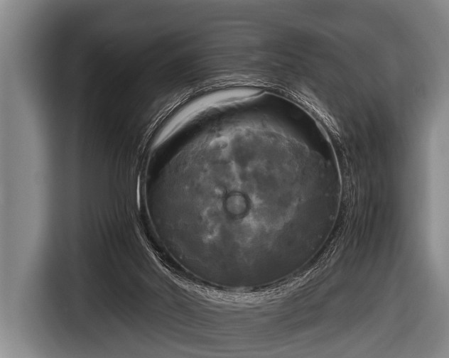 X0000116800014200912241210