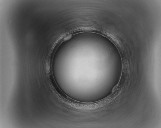 X0000116800015200912241210