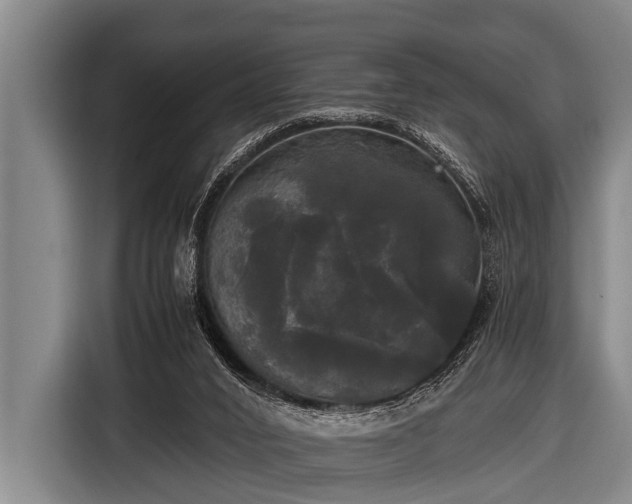 X0000116800016200912241210