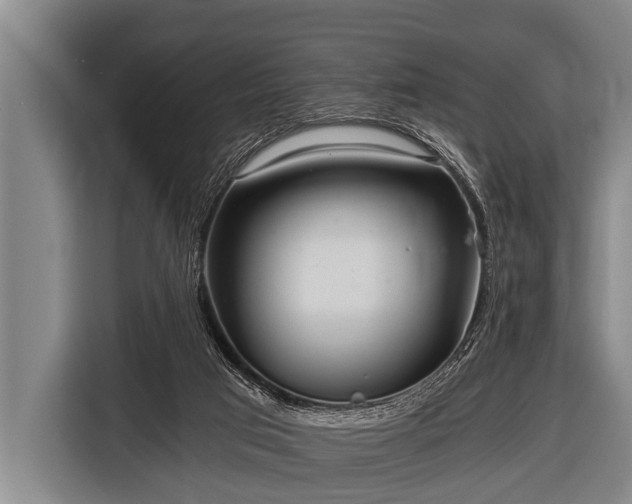 X0000116800017200912241210