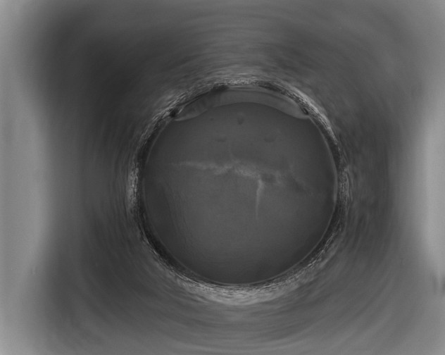 X0000116800018200912241210