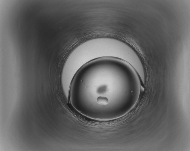 X0000116800021200912241210