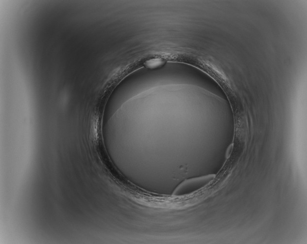 X0000116800023200912241210