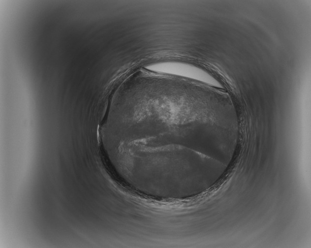 X0000116800024200912241210