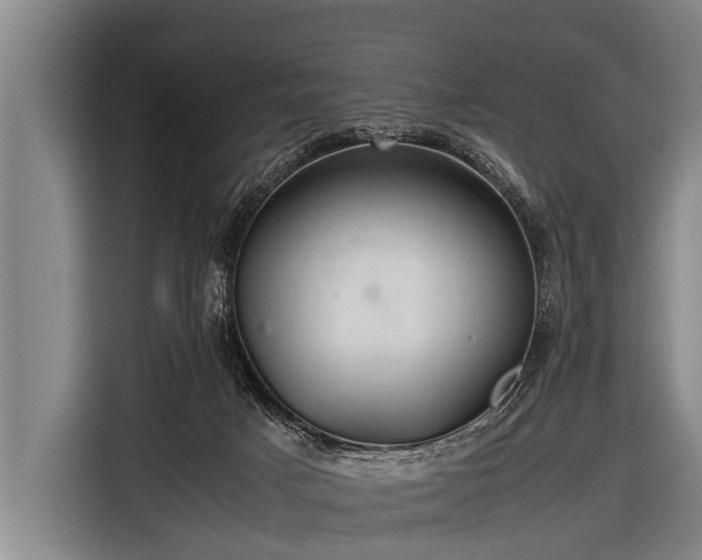 X0000116800025200912241210