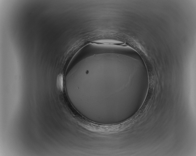 X0000116800027200912241210