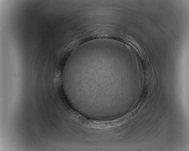 X0000116800029200912241210