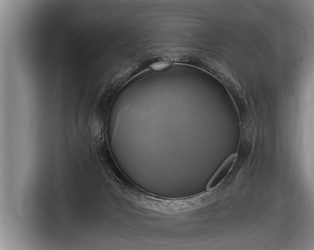 X0000116800031200912241210